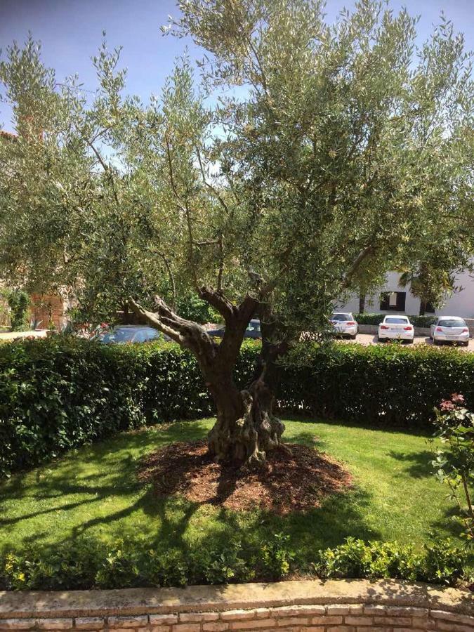 Apartman Alberta Poreč Exteriér fotografie