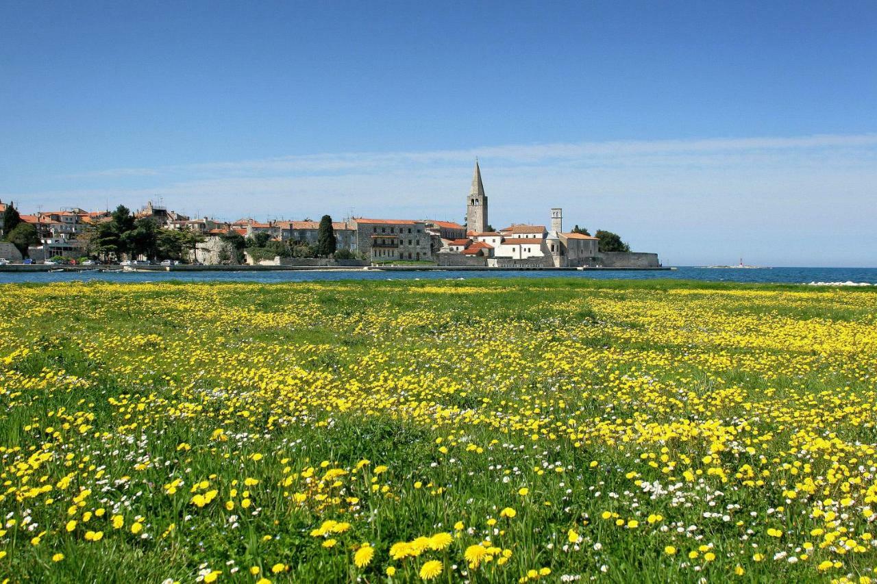 Apartman Alberta Poreč Exteriér fotografie
